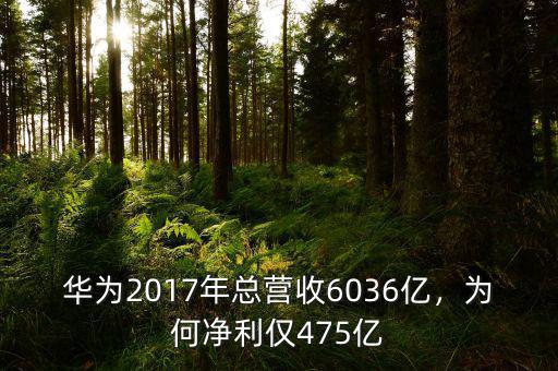 華為2017年總營收6036億，為何凈利僅475億