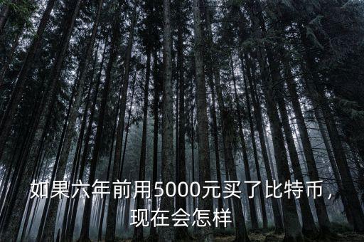 如果六年前用5000元買了比特幣，現(xiàn)在會怎樣