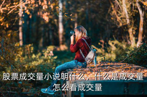 股票成交量小說(shuō)明什么，什么是成交量，怎么看成交量