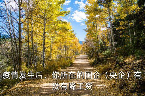 疫情發(fā)生后，你所在的國企（央企）有沒有降工資