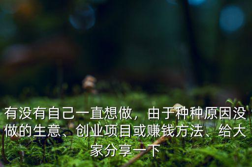 有沒有自己一直想做，由于種種原因沒做的生意、創(chuàng)業(yè)項(xiàng)目或賺錢方法、給大家分享一下