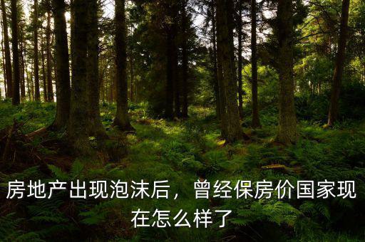 房地產(chǎn)出現(xiàn)泡沫后，曾經(jīng)保房價國家現(xiàn)在怎么樣了