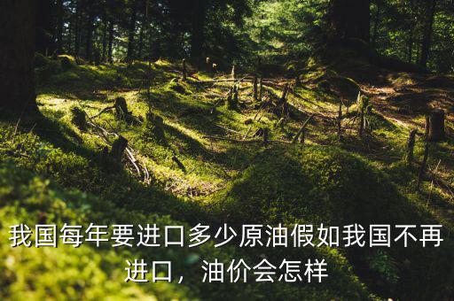 我國每年要進口多少原油假如我國不再進口，油價會怎樣