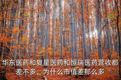 華東醫(yī)藥和復星醫(yī)藥和恒瑞醫(yī)藥營收都差不多，為什么市值差那么多