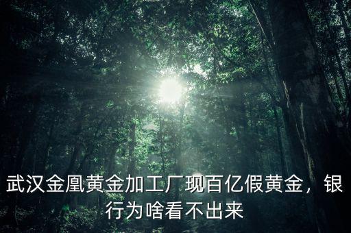 武漢金凰黃金加工廠現(xiàn)百億假黃金，銀行為啥看不出來