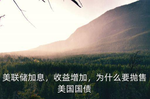 美聯(lián)儲(chǔ)加息，收益增加，為什么要拋售美國(guó)國(guó)債