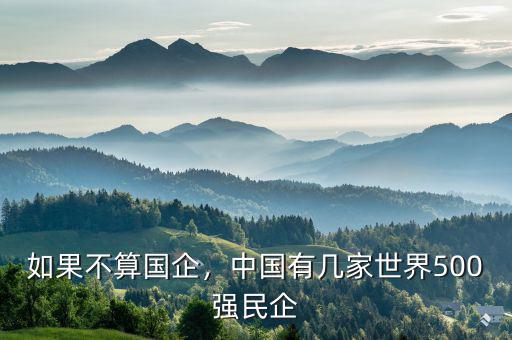 如果不算國企，中國有幾家世界500強(qiáng)民企