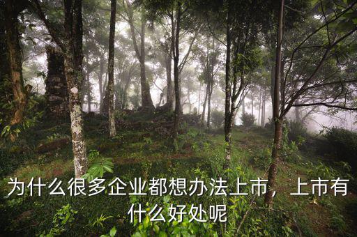 為什么很多企業(yè)都想辦法上市，上市有什么好處呢