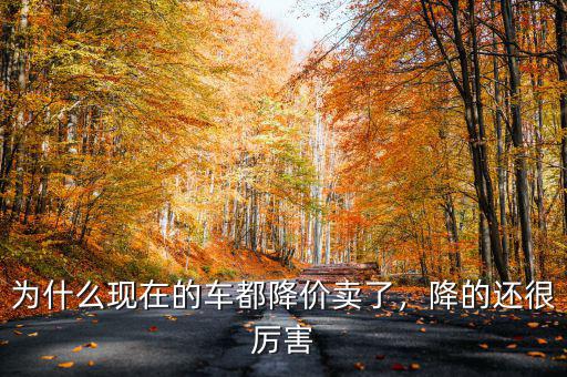 為什么現(xiàn)在的車都降價(jià)賣了，降的還很厲害