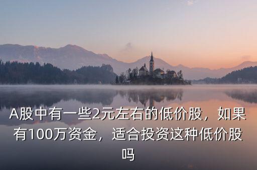 A股中有一些2元左右的低價股，如果有100萬資金，適合投資這種低價股嗎
