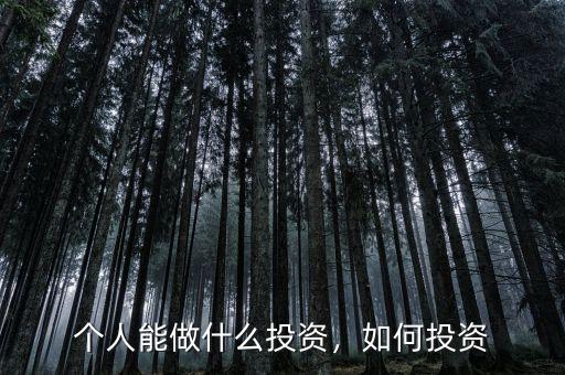 個人能做什么投資，如何投資