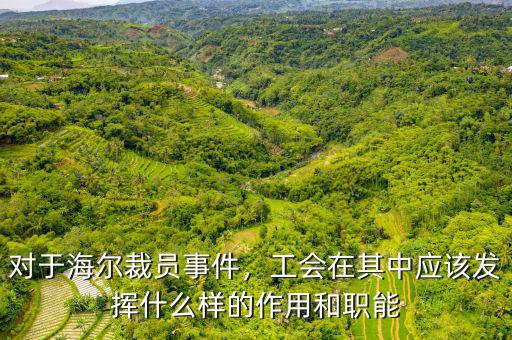 對(duì)于海爾裁員事件，工會(huì)在其中應(yīng)該發(fā)揮什么樣的作用和職能