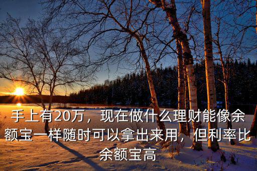 手上有20萬，現(xiàn)在做什么理財能像余額寶一樣隨時可以拿出來用，但利率比余額寶高