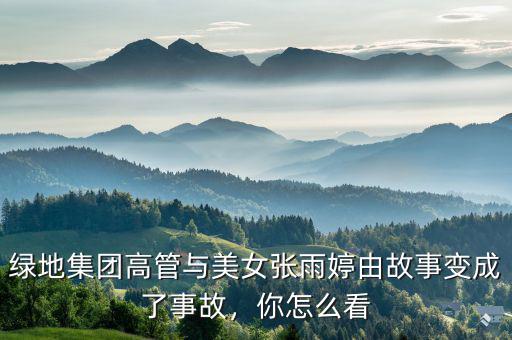 綠地集團高管與美女張雨婷由故事變成了事故，你怎么看