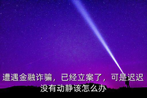 遭遇金融詐騙，已經(jīng)立案了，可是遲遲沒有動(dòng)靜該怎么辦