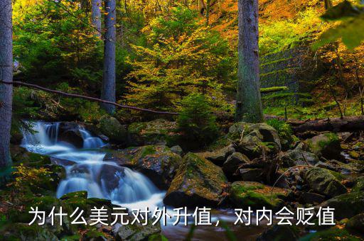 為什么美元對外升值，對內(nèi)會(huì)貶值