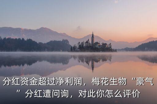 分紅資金超過凈利潤，梅花生物“豪氣”分紅遭問詢，對此你怎么評價