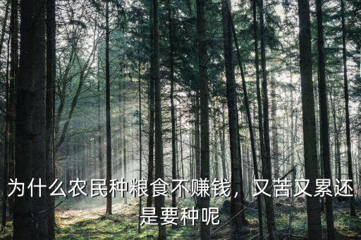 為什么農(nóng)民種糧食不賺錢，又苦又累還是要種呢