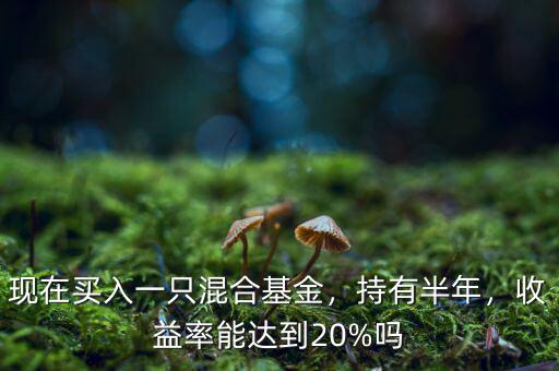 現(xiàn)在買入一只混合基金，持有半年，收益率能達(dá)到20%嗎