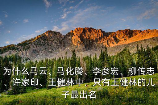 為什么馬云、馬化騰、李彥宏、柳傳志、許家印、王健林中，只有王健林的兒子最出名