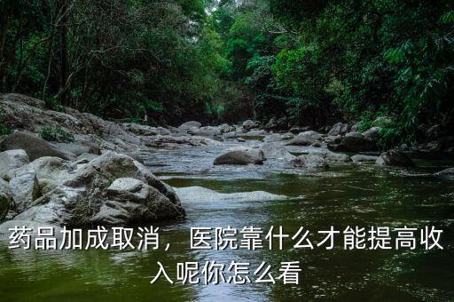 藥品加成取消，醫(yī)院靠什么才能提高收入呢你怎么看