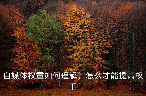 自媒體權(quán)重如何理解，怎么才能提高權(quán)重