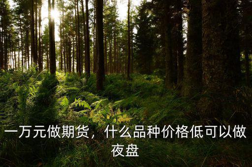 一萬元做期貨，什么品種價格低可以做夜盤