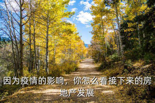 因?yàn)橐咔榈挠绊?，你怎么看接下?lái)的房地產(chǎn)發(fā)展