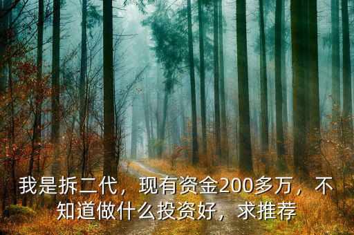 我是拆二代，現(xiàn)有資金200多萬，不知道做什么投資好，求推薦
