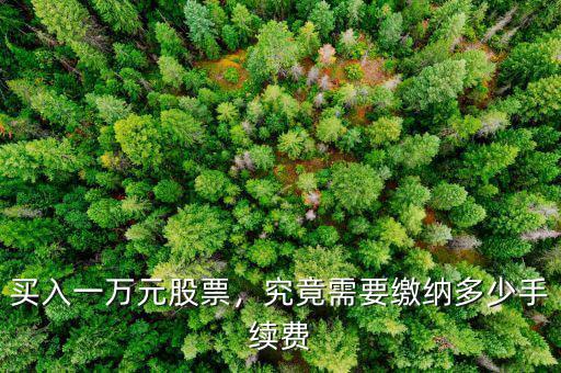 買入一萬元股票，究竟需要繳納多少手續(xù)費