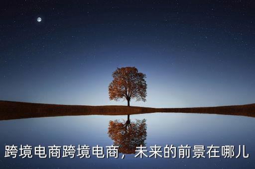 跨境電商跨境電商，未來的前景在哪兒