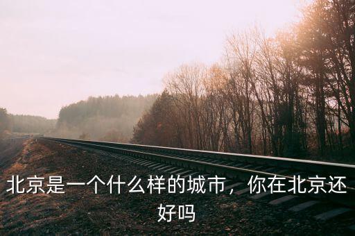 北京是一個什么樣的城市，你在北京還好嗎