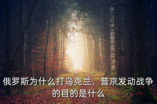 俄羅斯為什么打?yàn)蹩颂m，普京發(fā)動(dòng)戰(zhàn)爭(zhēng)的目的是什么
