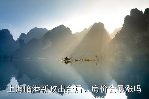 上海臨港新政出臺后，房價會暴漲嗎