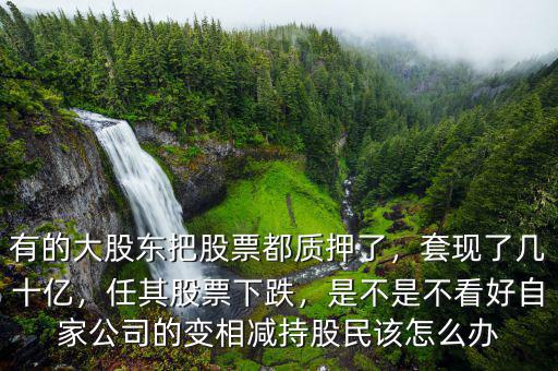有的大股東把股票都質(zhì)押了，套現(xiàn)了幾十億，任其股票下跌，是不是不看好自家公司的變相減持股民該怎么辦