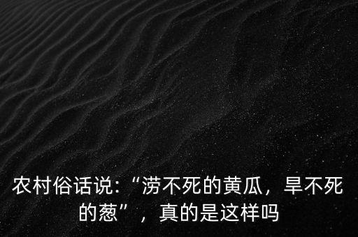 農(nóng)村俗話說(shuō):“澇不死的黃瓜，旱不死的蔥”，真的是這樣嗎
