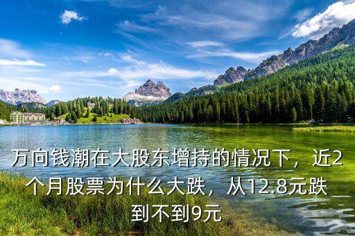 萬(wàn)向錢(qián)潮在大股東增持的情況下，近2個(gè)月股票為什么大跌，從12.8元跌到不到9元