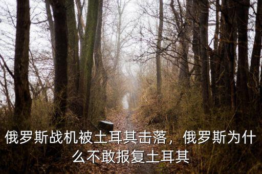 俄羅斯戰(zhàn)機被土耳其擊落，俄羅斯為什么不敢報復土耳其