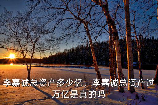 李嘉誠總資產(chǎn)多少億，李嘉誠總資產(chǎn)過萬億是真的嗎