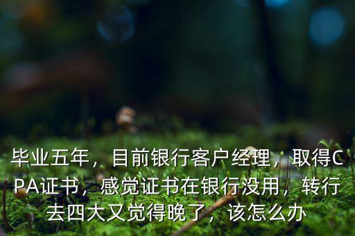 銀行客戶經(jīng)理轉行可以做什么,目前銀行客戶經(jīng)理
