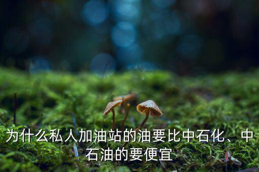 為什么私人加油站的油要比中石化、中石油的要便宜