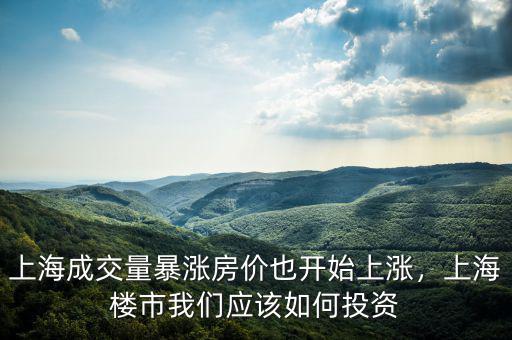 上海成交量暴漲房價也開始上漲，上海樓市我們應該如何投資