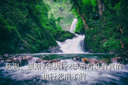 死刑，緩期2年執(zhí)行2年后有沒(méi)有真的執(zhí)行死刑了的