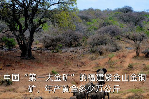中國(guó)“第一大金礦”的福建紫金山金銅礦，年產(chǎn)黃金多少萬公斤