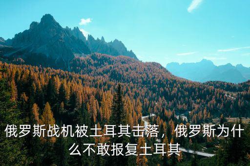 俄羅斯戰(zhàn)機(jī)被土耳其擊落，俄羅斯為什么不敢報復(fù)土耳其