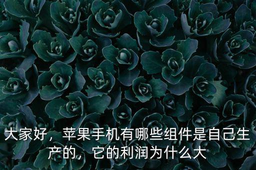 大家好，蘋果手機(jī)有哪些組件是自己生產(chǎn)的，它的利潤(rùn)為什么大