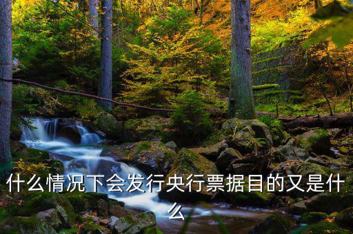 發(fā)行票據什么意思,目的又是什么