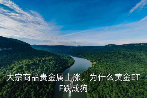 大宗商品貴金屬上漲，為什么黃金ETF跌成狗