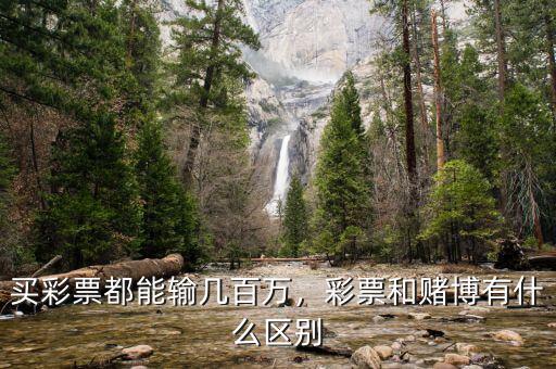 買彩票都能輸幾百萬，彩票和賭博有什么區(qū)別
