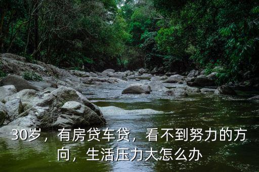30歲，有房貸車貸，看不到努力的方向，生活壓力大怎么辦